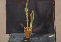 Cactus with Black Apron